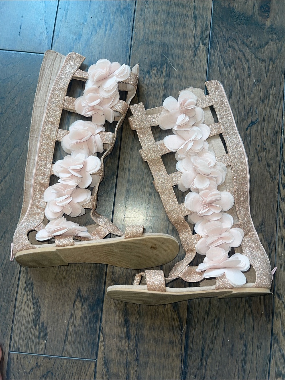 Joyfolie Rose Anais Gold Gladiator Sandals with Blush Floral Appliques